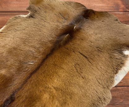 Goato Brown – Natural Brown Goat Skin Hide