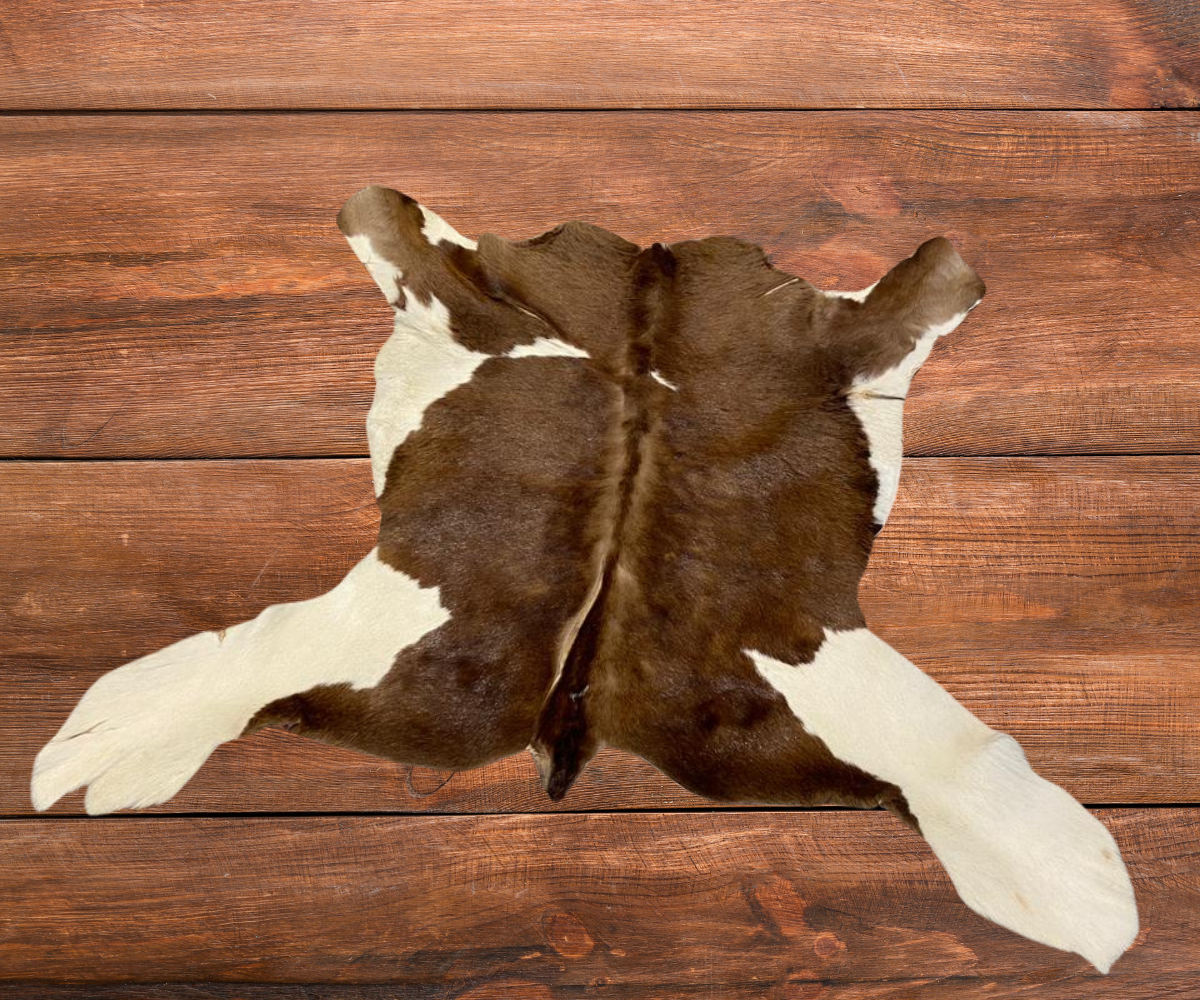 Goato Brón – Brown & White Natural Goat Skin Hide