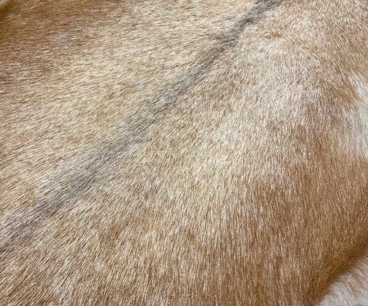 Goato – Natural Goat Skin Hide
